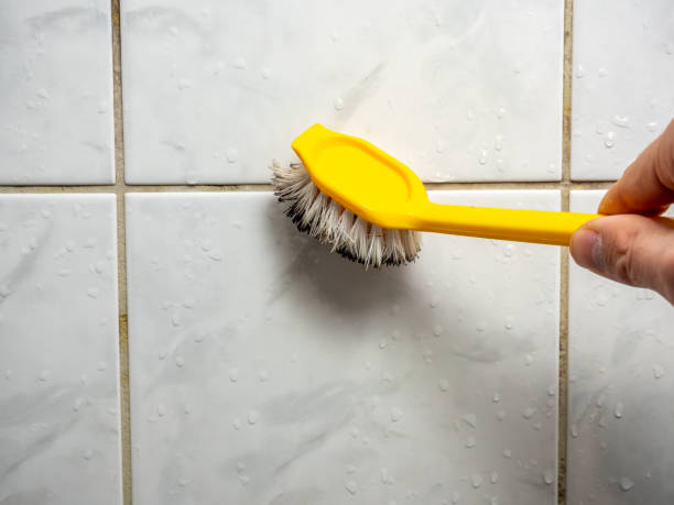Best Bathroom Mold Remediation in Senoia, GA