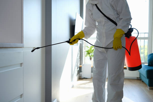 Best Emergency Mold Remediation in Senoia, GA