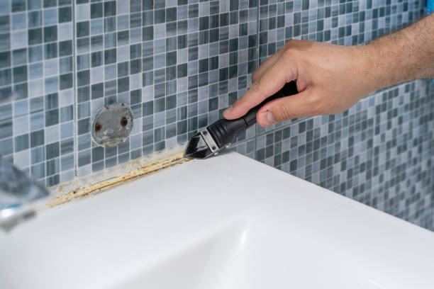Best Basement Mold Remediation in Senoia, GA