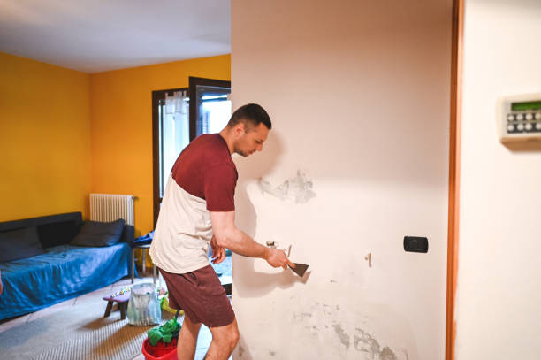 Best Post-Remediation Services in Senoia, GA